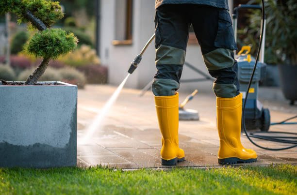 Best Pressure Washing Near Me  in Tuckerton, NJ